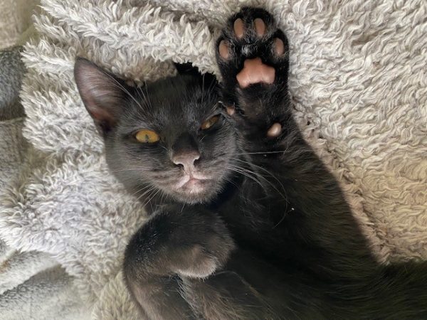 highfive highfive